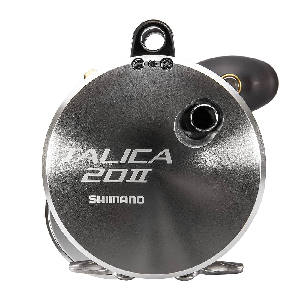 Mulinello Shimano Talica 20II A