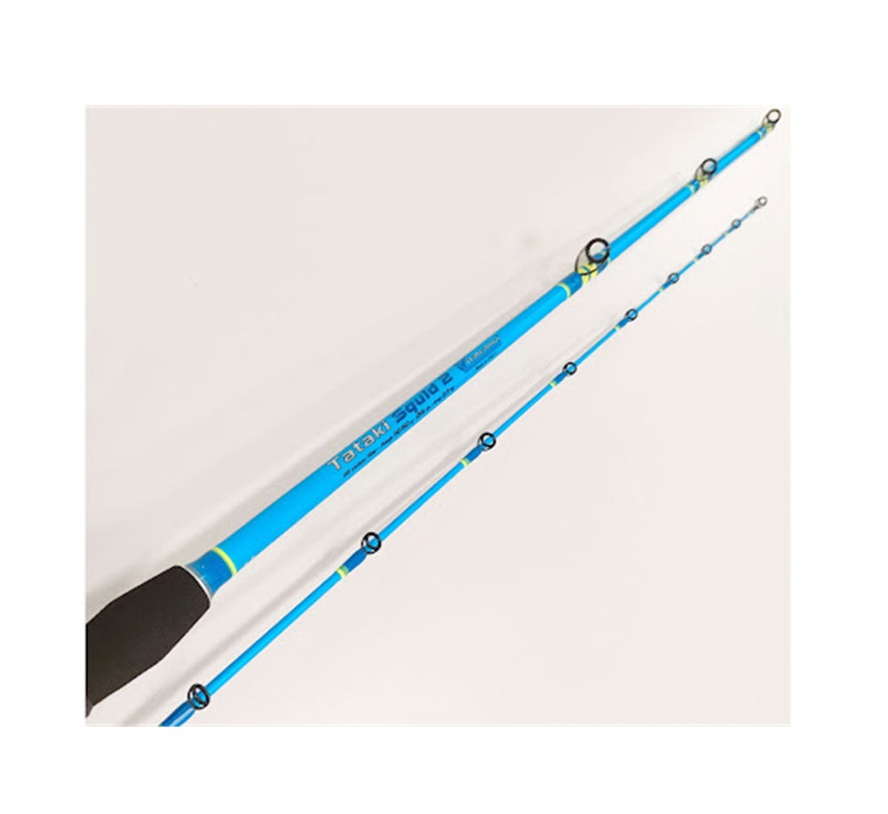 Canna Tataki Squid SJ 2pz 50-150 2.55mt Mulinello Rotante