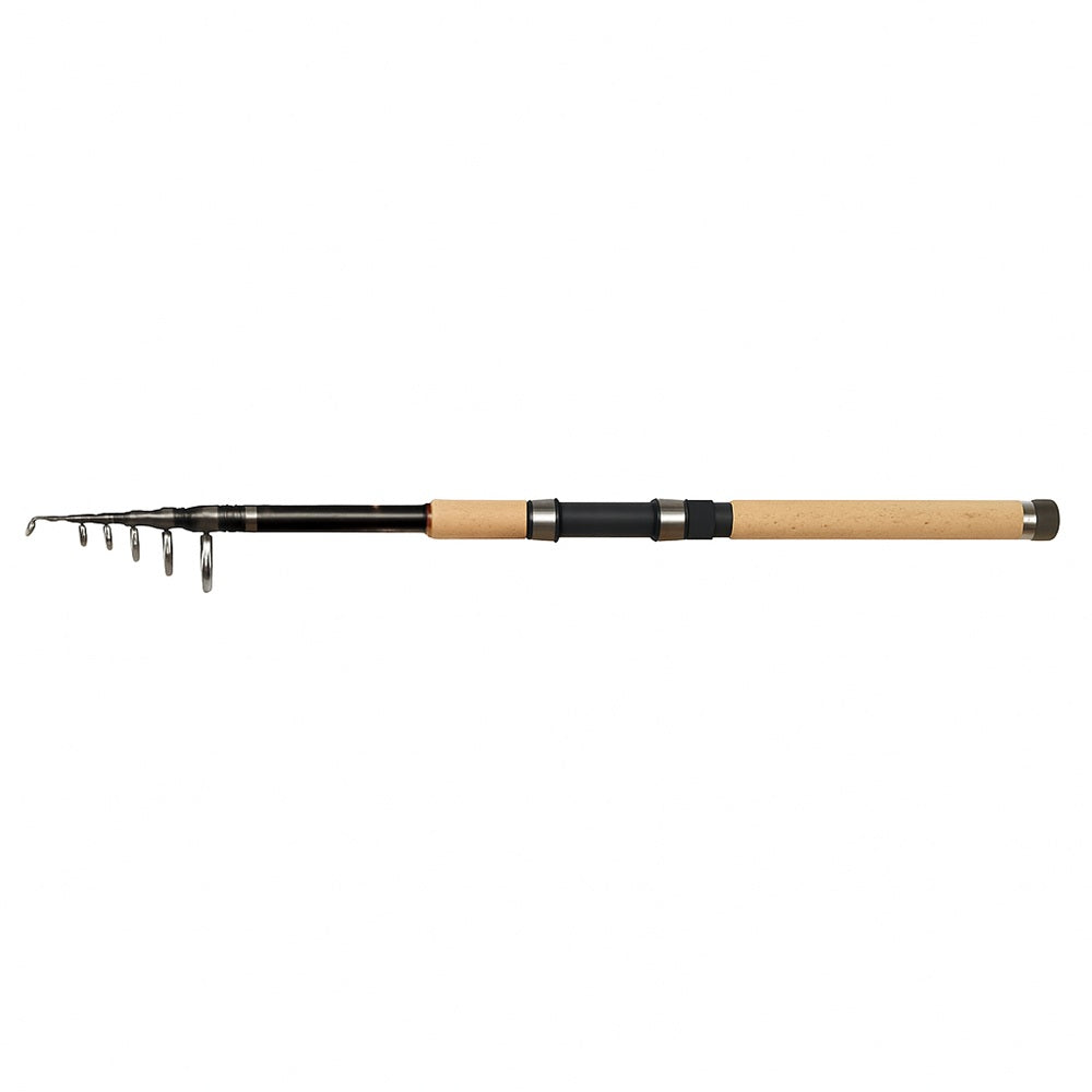 Canna Dam Blackbone II Tele 30-80 Gr 3.30 m