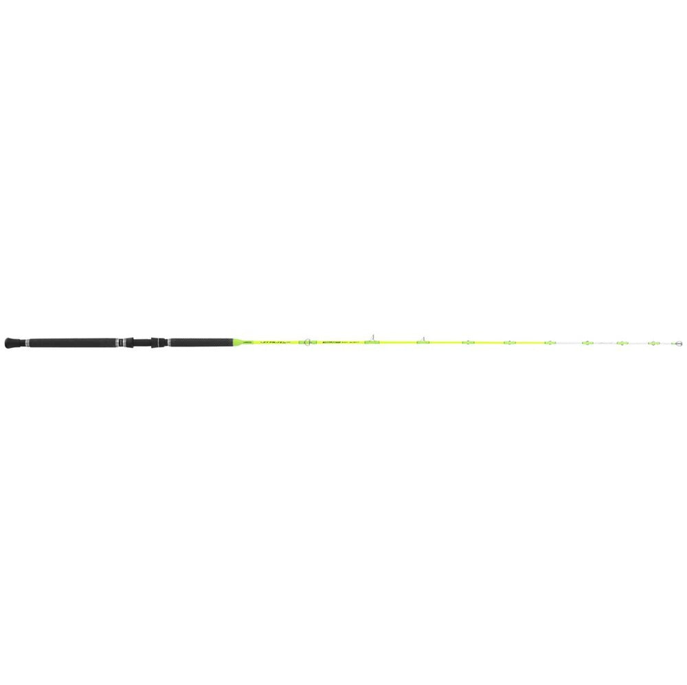 Canna Tubertini Vitality 2 6-12 Lb 2.10 m