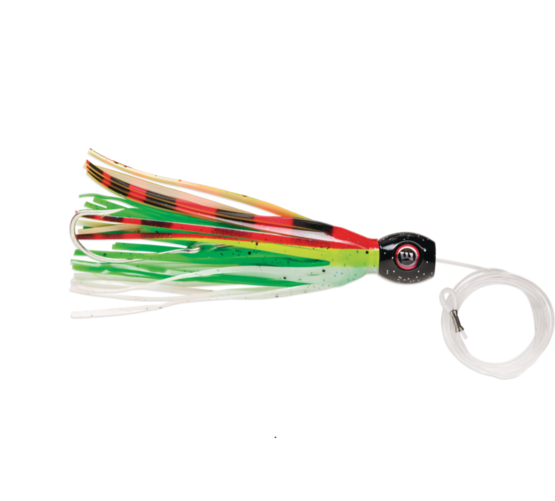 Artificiale Williamson High Speed Sailfish Catcher Rasta