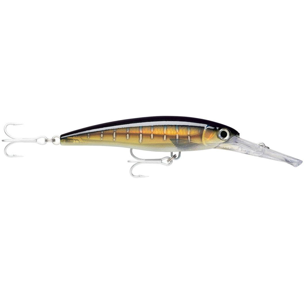 Artificiale Rapala Countdown Magnum 15 #Gosc