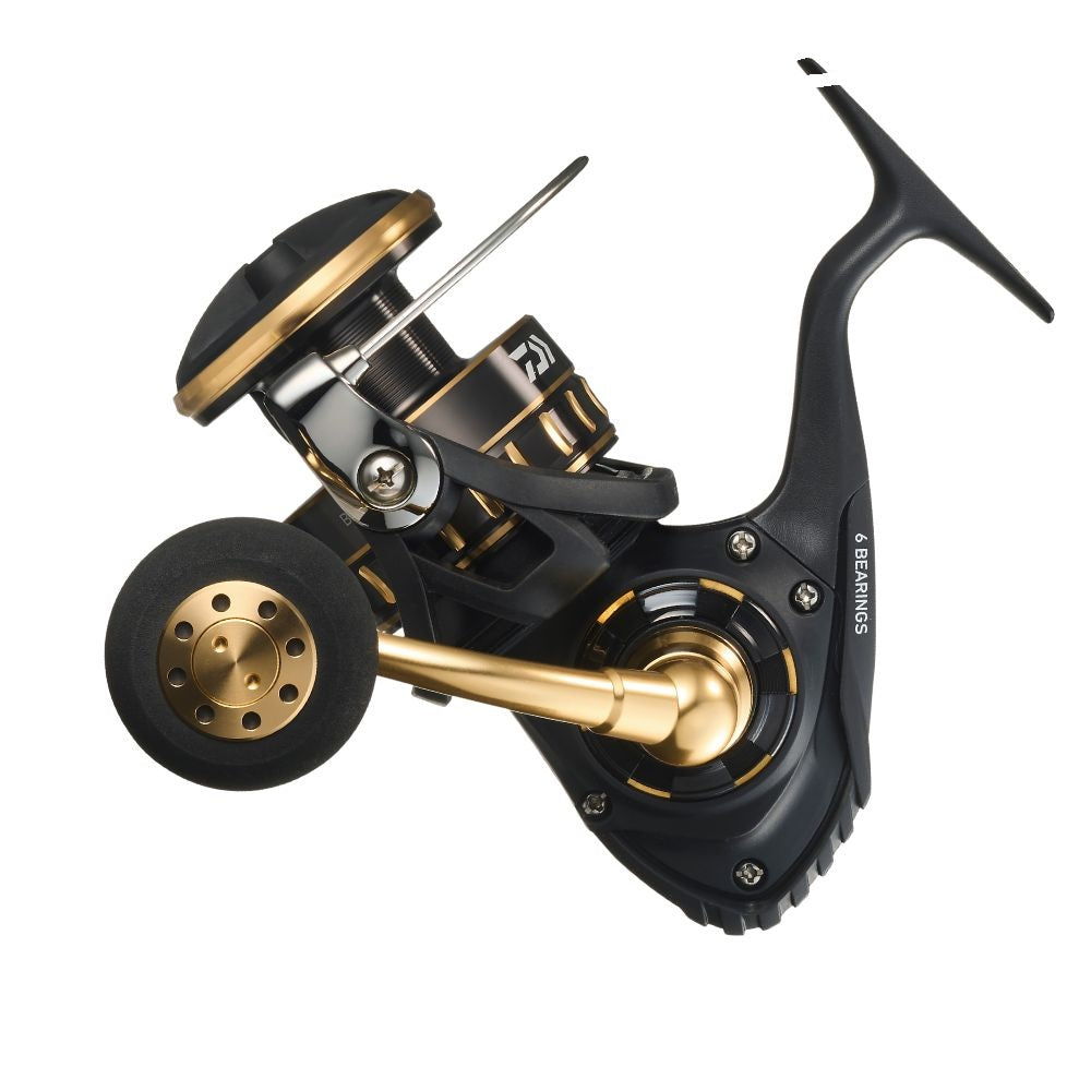 Mulinello Daiwa BG SW 10000-H