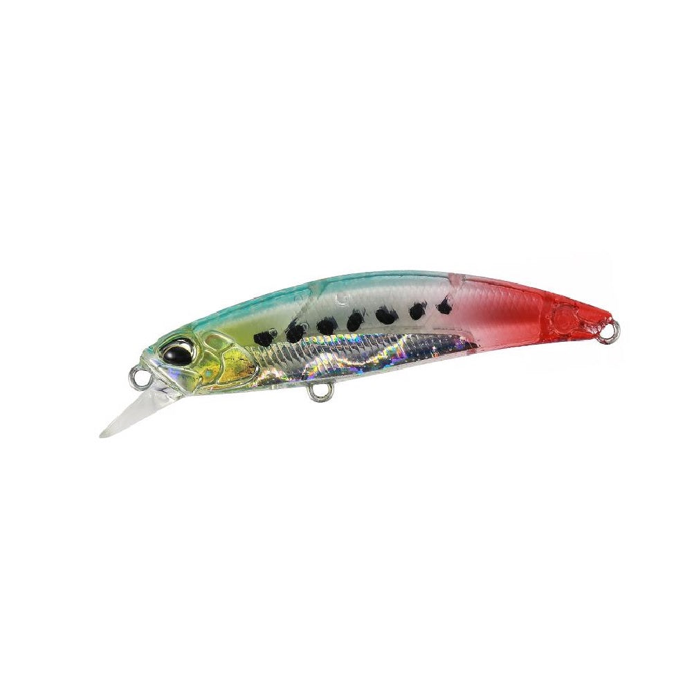 Artificiale Duo International Spearhead Ryuki 70S SW Bleeding Sardine