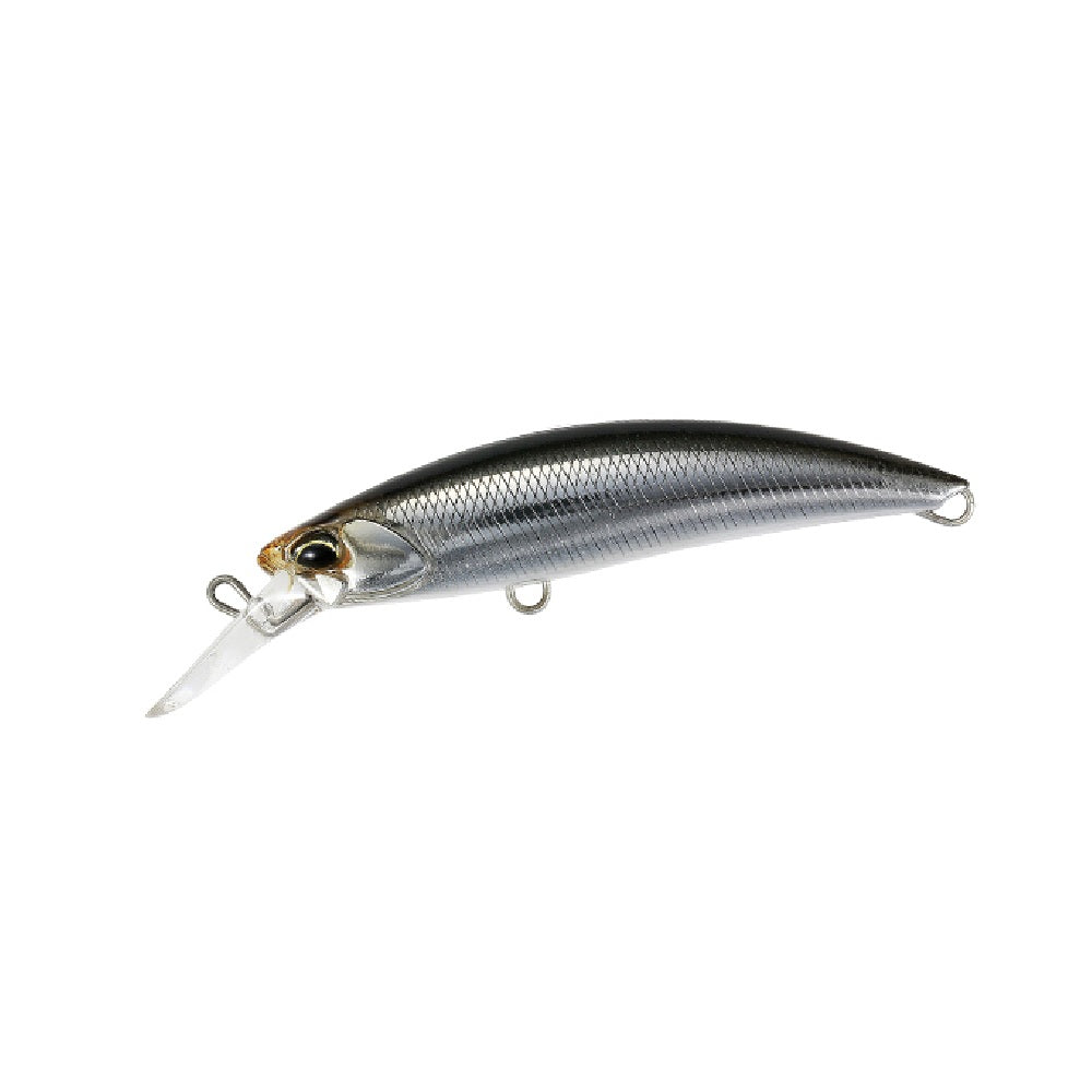 Artificiale Duo International Rough Trail Blazin 70 Clear Anchovy