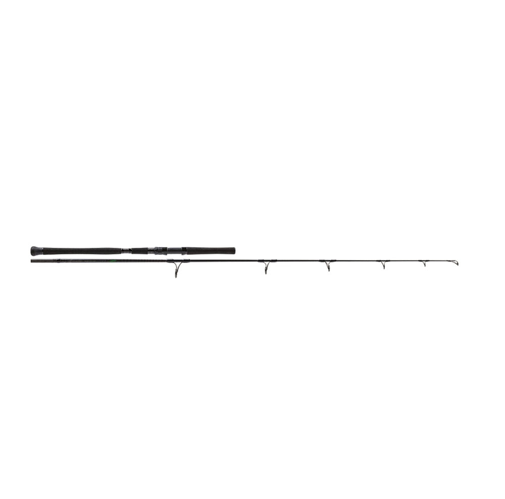 Canna Molix Fioretto EMX-S79-120 7’9” FT 120G