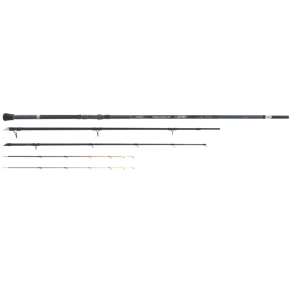 Canna Tubertini Genetic Hero 3,70m Max 400g
