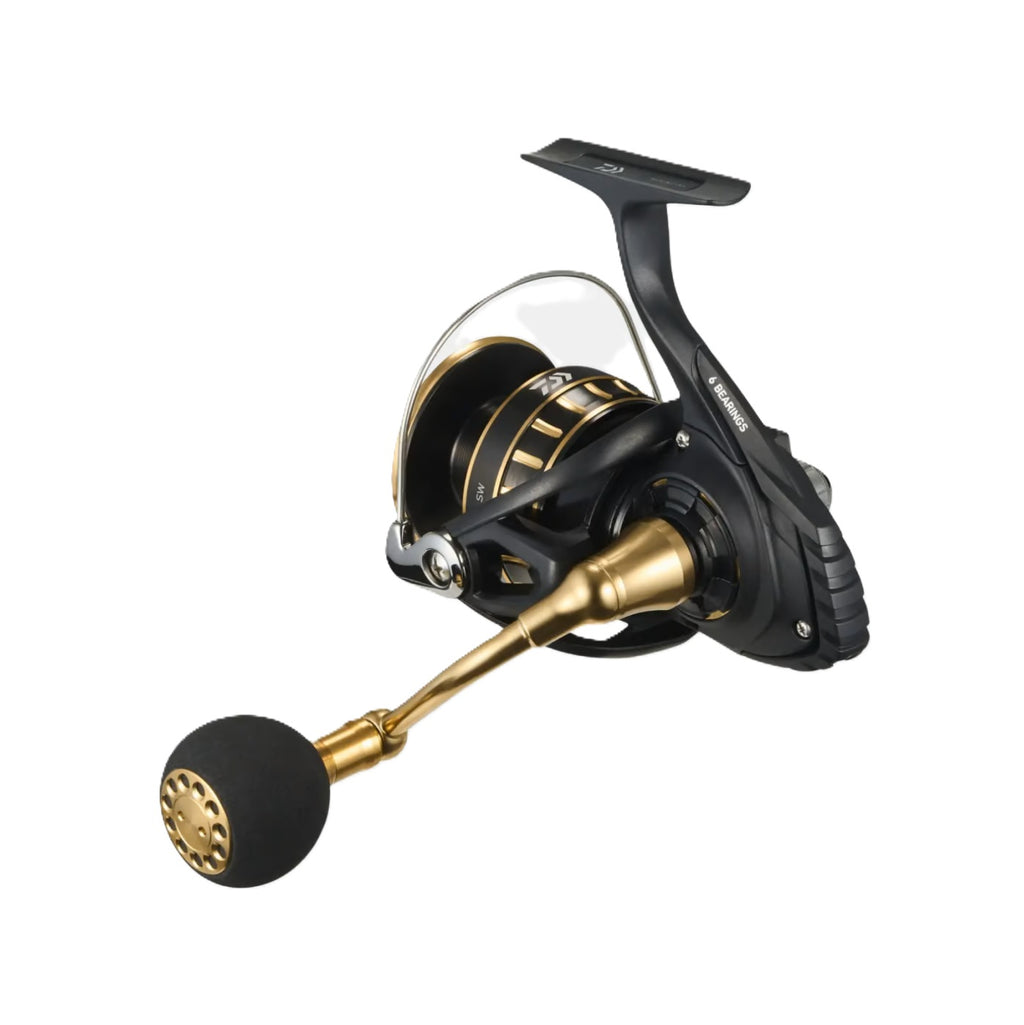 Mulinello Daiwa BG SW 8000-P