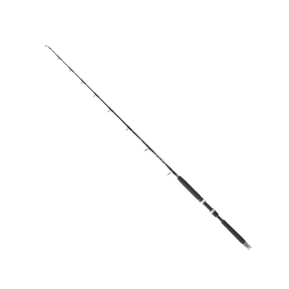 Canna Italcanna Raissa CF-30  20/30lb