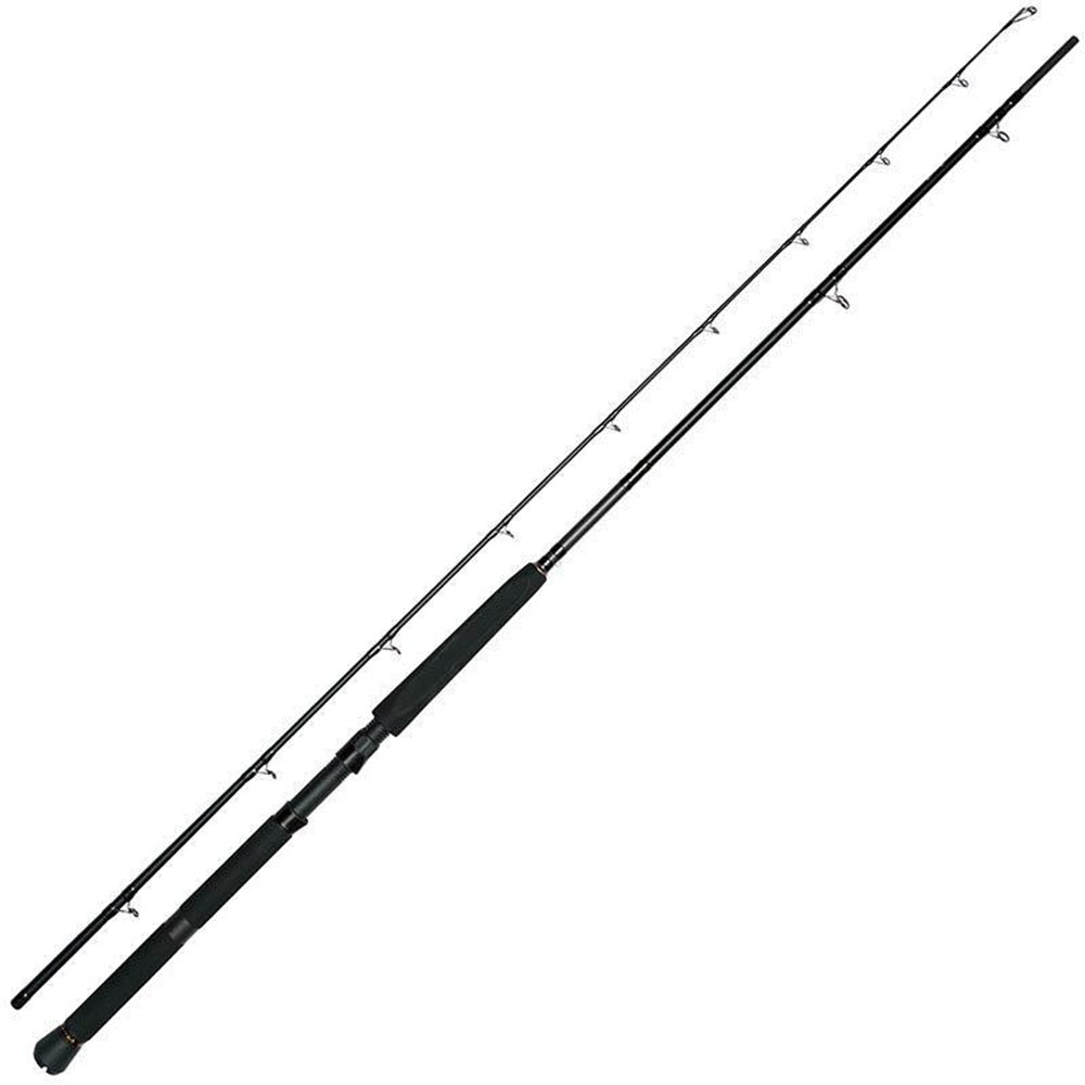 Canna Westin W3 2nd Predator Trolling 60-180 Gr 2.55 m
