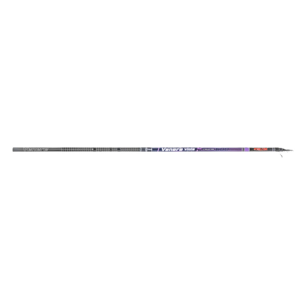 Canna Falcon Venere Viola 6 Mt