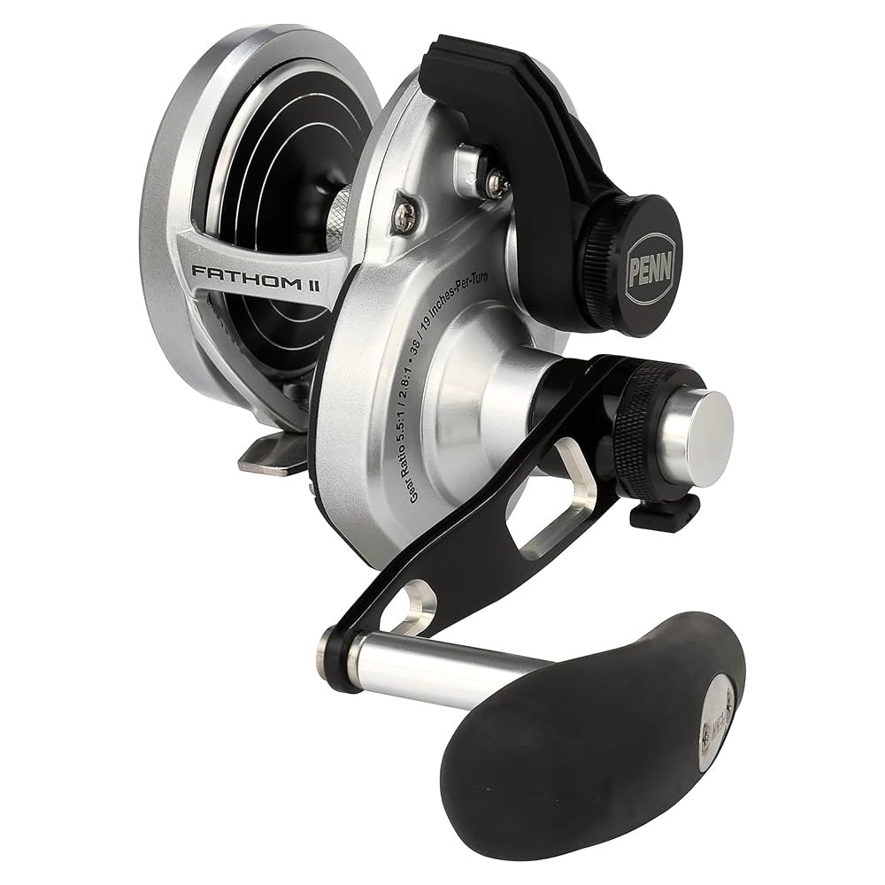 Mulinello Penn Fathom II 25 2LH