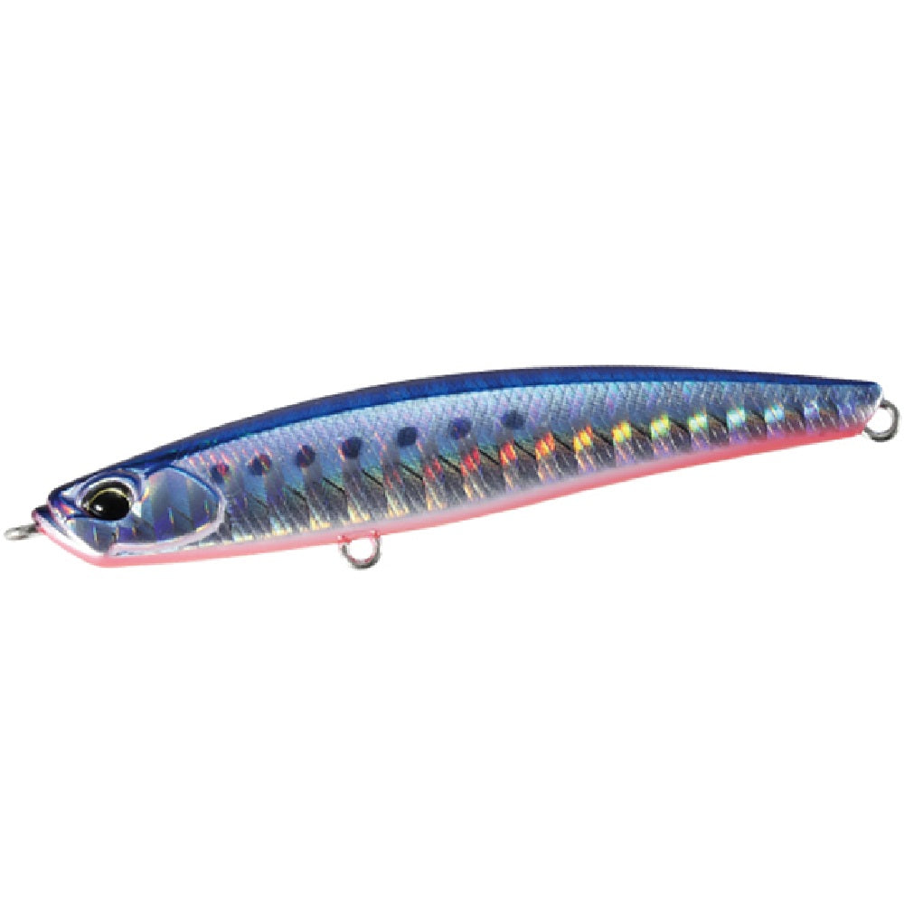 Duo International Bay Ruf Seek 68S Mazume Sardine