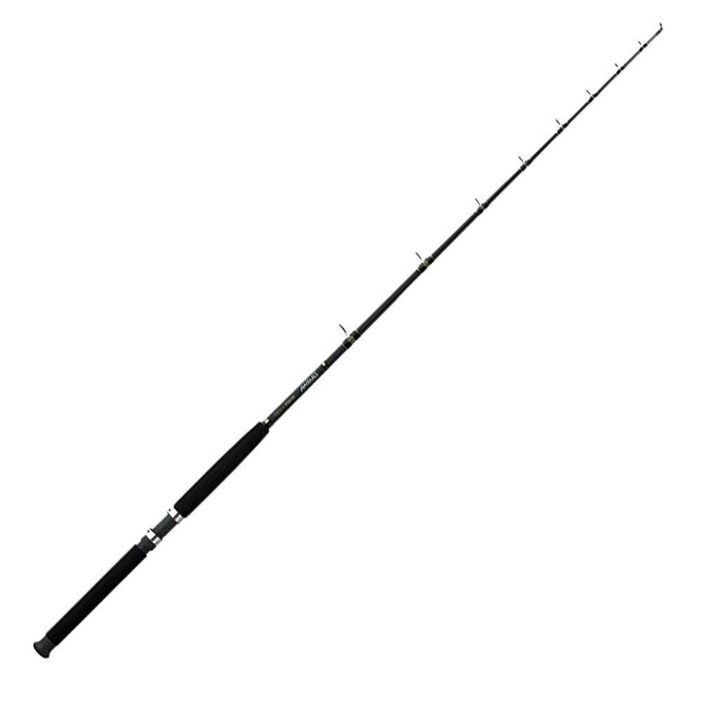 Canna Daiwa Seagate SGT70MHFS