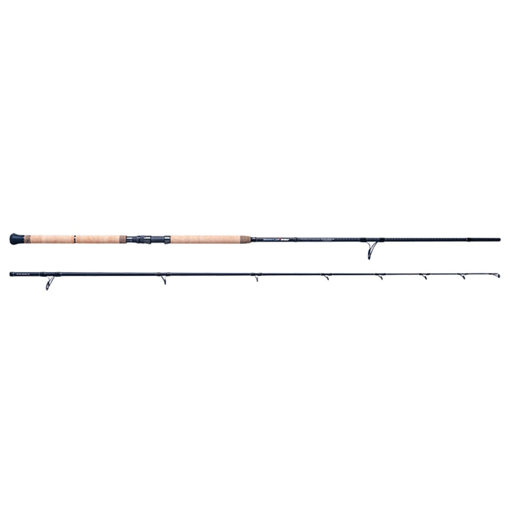Canna Palmos Shore Gun Evolvs 40-120 Gr 3.20 m