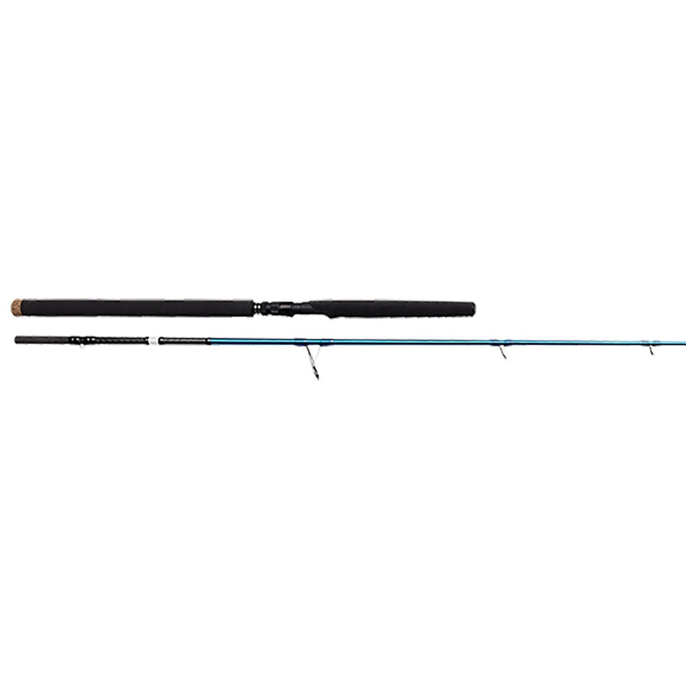 Canna Savage Gear SGS2 Offshore Plug 8'2" MMH 30-80g