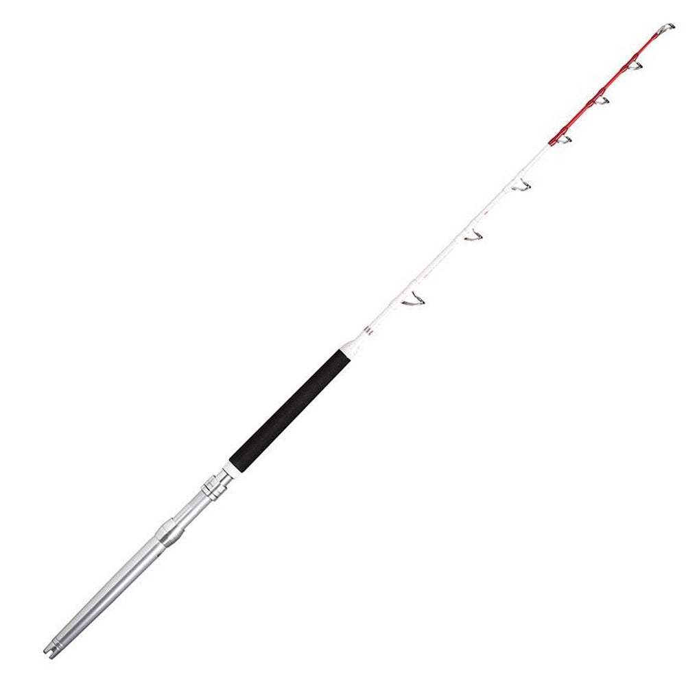 Canna Rapala Magnum RH 30-50 Stand-Up  Montaggio in Linea Anelli Fuji