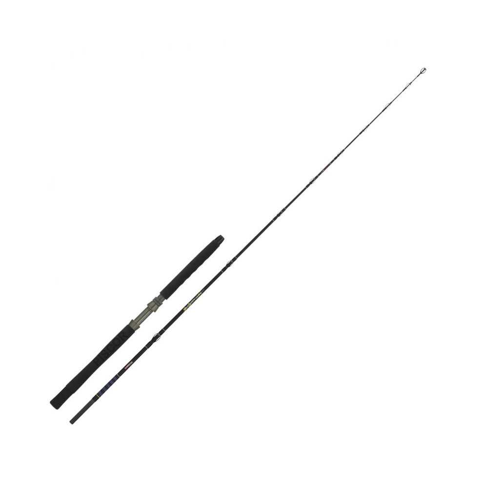 Canna Tubertini Sea Born Twisted 12 Lb 2.10 m