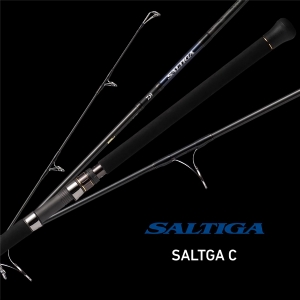 Daiwa saltiga 2021