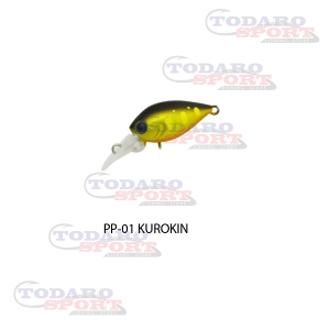 Daysprout pico chattecra mr