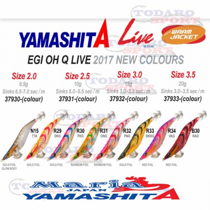 Yamashita egi-oh q live    