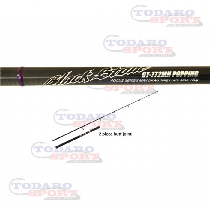 Expert Black Stone Popping Rod, Pesca, Canne, Spinning E Popping, Expert  Graphite